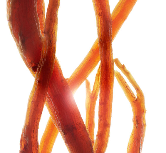 Ginseng-&Oslash;kologisk r&oslash;d ginseng ekstrakt-Panax ginseng root extract