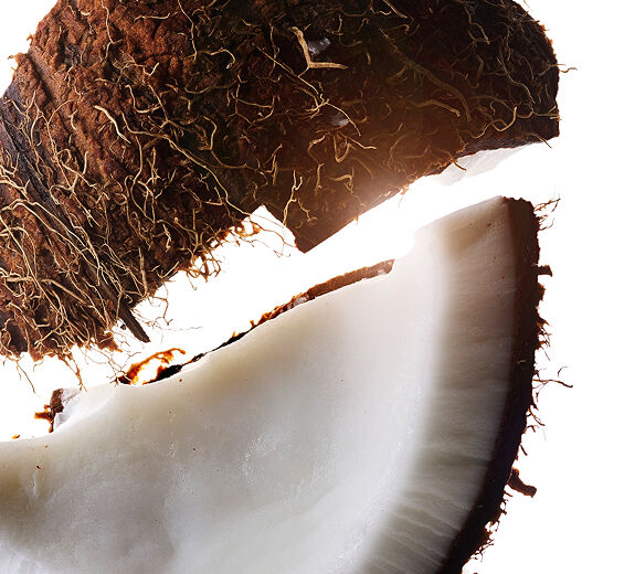Kokosn&oslash;ddetr&aelig;-Kokosolie-Cocos nucifera (Coconut) oil
