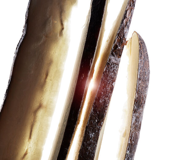 Manioc-Maniokrodsekstrakt-Tapioca starch