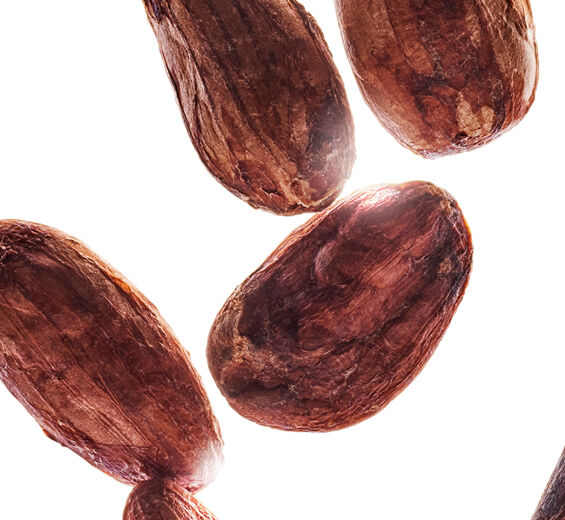 Kakaotr&aelig;-undefined-undefined