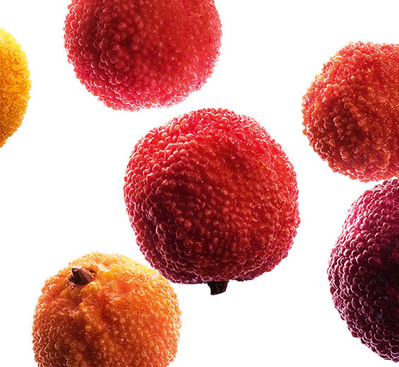 Jordb&aelig;rtr&aelig;-&Oslash;kologisk jordb&aelig;rtr&aelig;frugtekstrakt-Arbutus unedo fruit extract