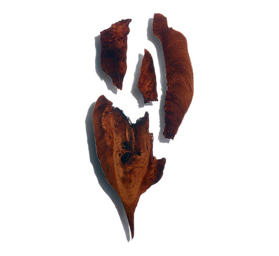 Bocoa-Bocoa ekstrakt-Bocoa prouacensis extract