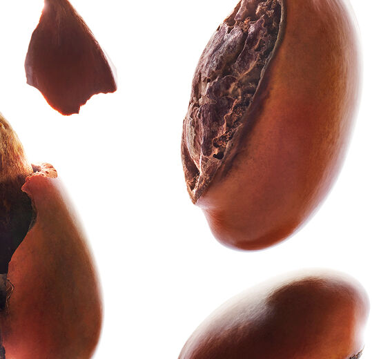 Shea tr&aelig;-Shea sm&oslash;r-Butyrospermum parkii (shea) butter