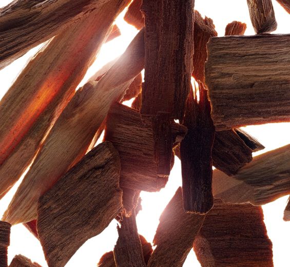 Sandeltr&aelig;-Sandeltr&aelig; essentiel olie-Santalum album (sandalwood) oil