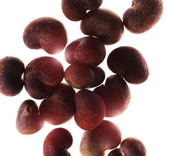 Baobab-&Oslash;kologisk baobab olie-Adansonia digitata seed oil