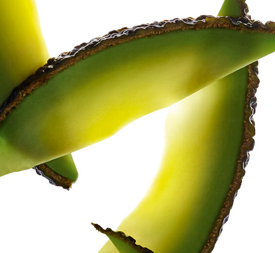 Avocado-&Oslash;kologisk avocado olie-Persea gratissima (avocado) fruit extract