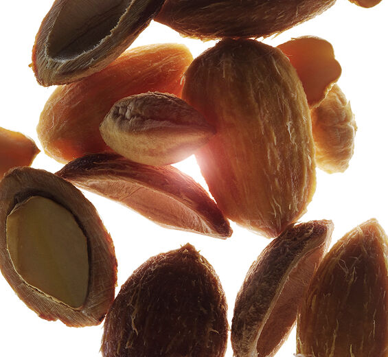 Ørkenfrugt-Organisk ørken dato ekstrakt-Balanites roxburghii seed oil