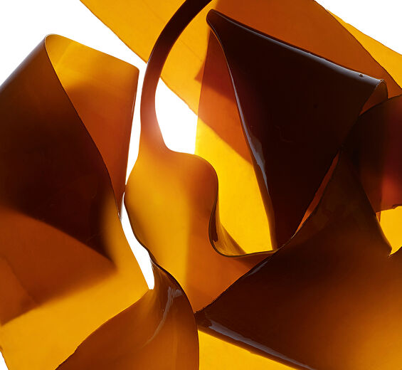 Laminaria-Laminaria ekstrakt-Laminaria digitata extract