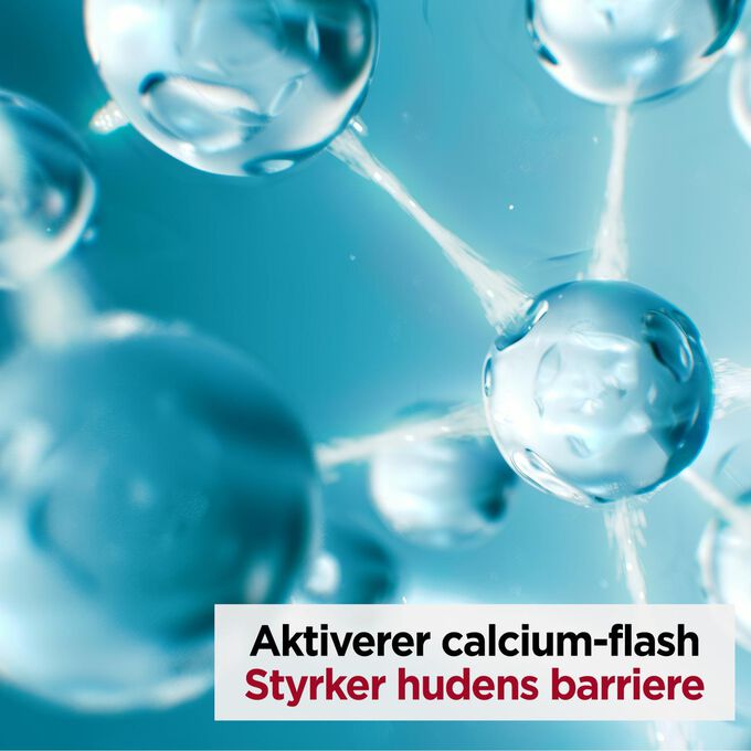 Cryo-Flash Mask ingrediens