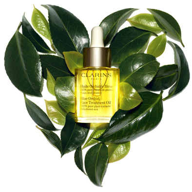 clarins.dk free shipping from 400kr