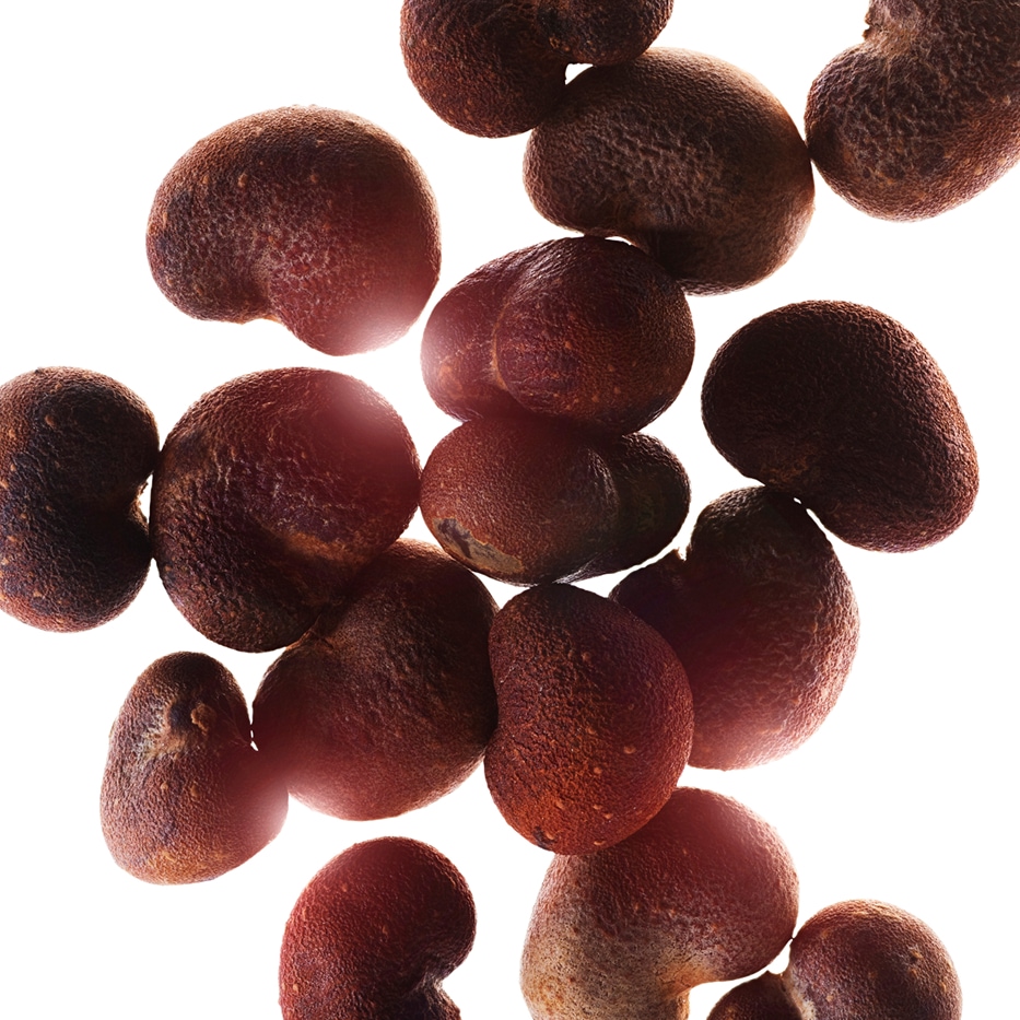 Baobab-Baobab ekstrakt-Hydrolyzed adansonia digitata extract