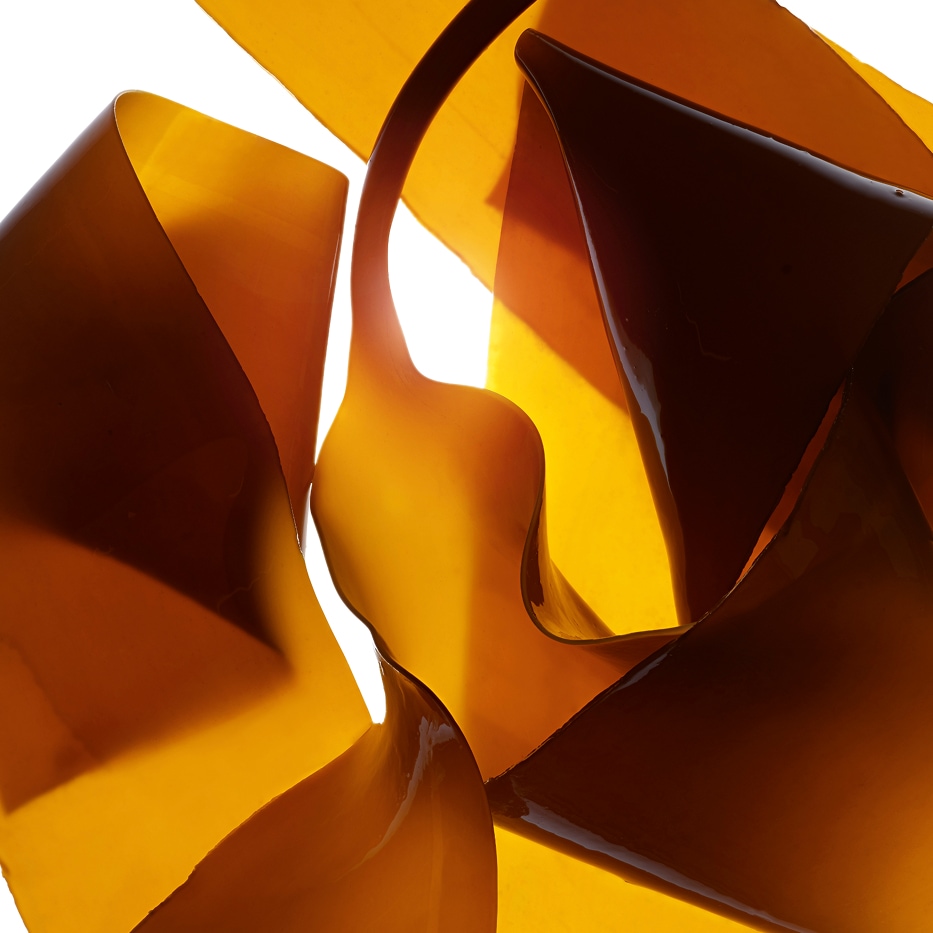 Laminaria-Laminaria ekstrakt-Laminaria digitata extract