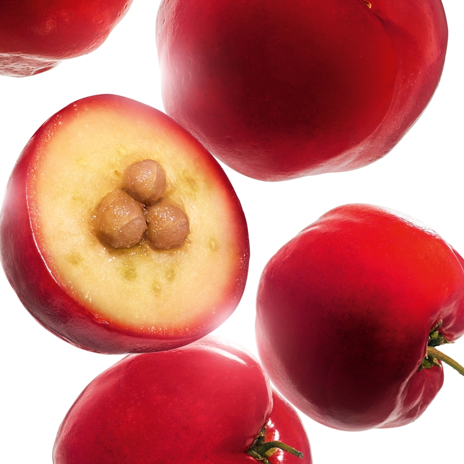 Acerola-Acerolaekstrakt-Malpighia emarginata (acerola) fruit extract
