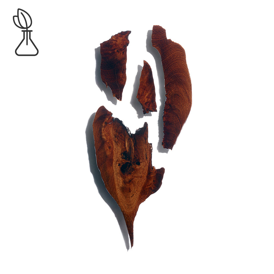 Bocoa-Bocoa ekstrakt-Bocoa prouacensis extract