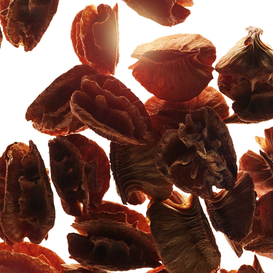 Acerola-Acerolafr&oslash;ekstrakt-Malpighia emarginata (acerola) seed extract