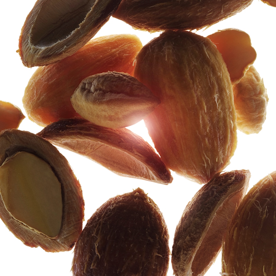 &Oslash;rkenfrugt-Organisk &oslash;rken dato ekstrakt-Balanites roxburghii seed oil