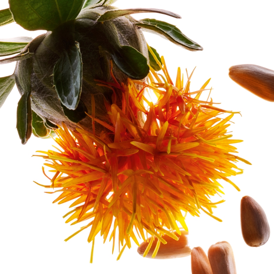 Safflower-Safflower ekstrakt-Carthamus tinctorius (safflower) seedcake extract