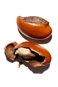 Sheasmør