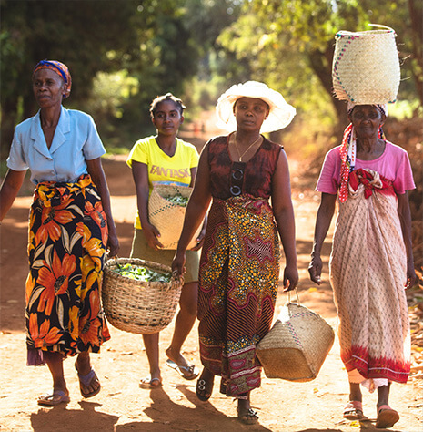 Photo of women carrying baskets